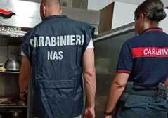 https://www.lapressa.it/articles/066550/carabinieri-nas-reggio-TN.jpg